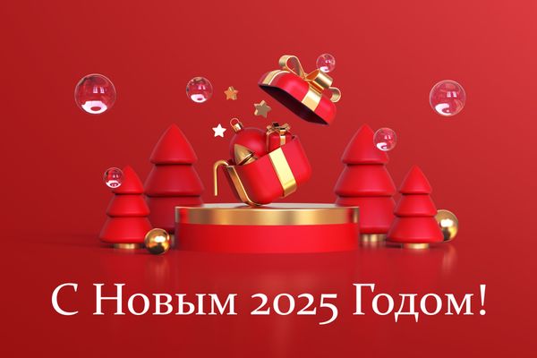 С НОВЫМ 2025 ГОДОМ!