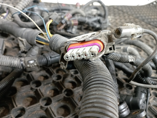 Проводка двигателя 2020г.