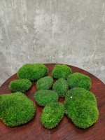 Декоративные камни из мха