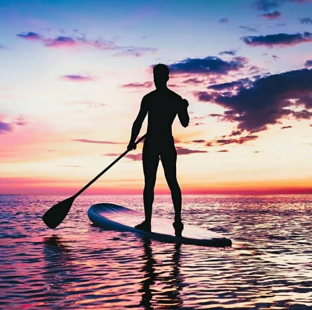 SUP-сёрфинг National Geographic с Сахалинскими тюленями, Кольчатая нерпа (акиба), сивуч, ларга.