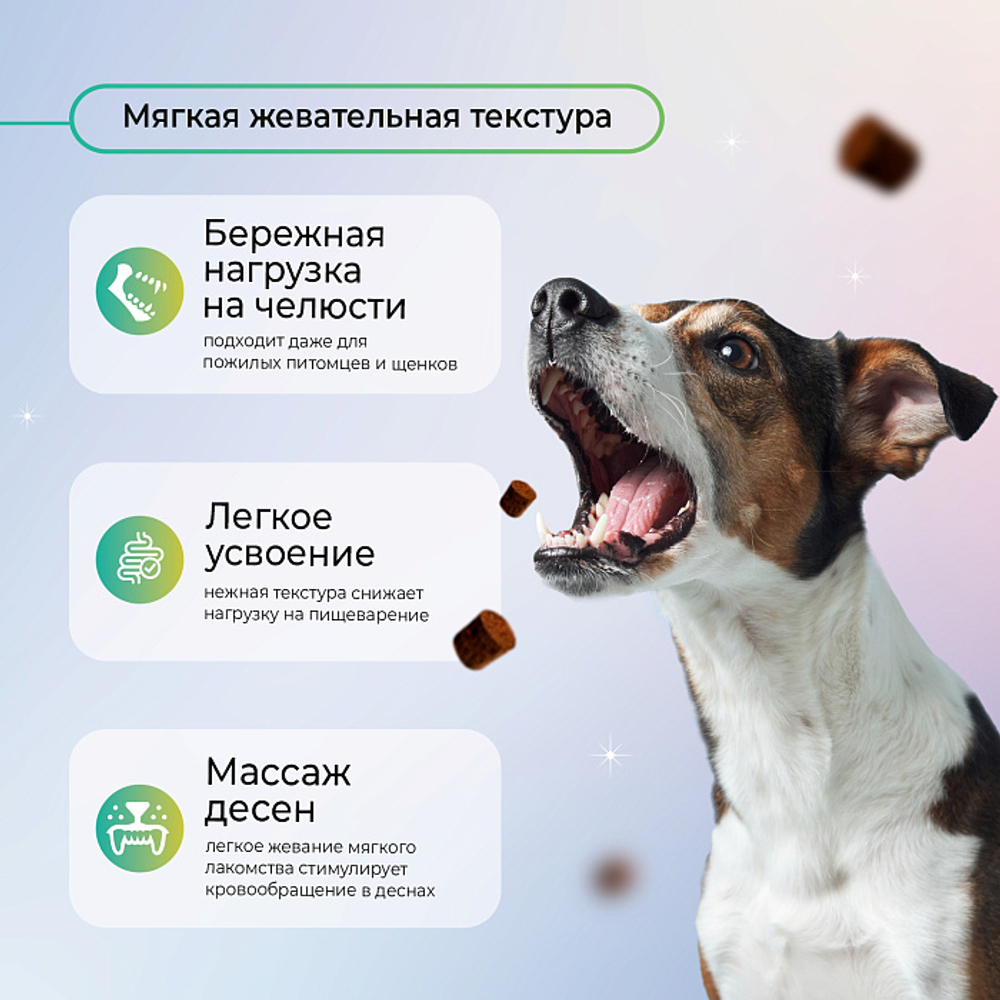 Функциональное лакомство Favet MultivitaminDog Soft Chews для кожи и шерсти для собак, 120г