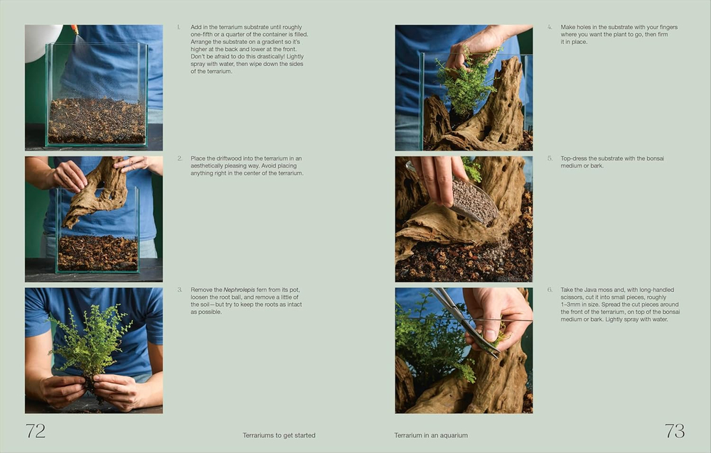 Hello Tiny World: An Enchanting Journey into the World of Creating Terrariums