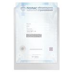 Папка-файл для медицинского полиса, 223х158 мм, без отверстий, ПВХ 120 мкм, "ДПС", 3127