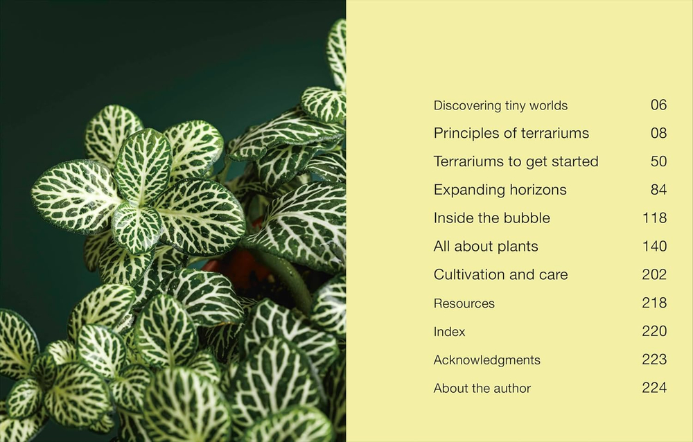 Hello Tiny World: An Enchanting Journey into the World of Creating Terrariums