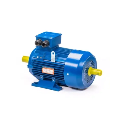 Электродвигатель 5АИ 100 L6 2,2/1000 IM1082