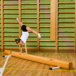 Бревно гимнастическое напольное 3 м ZAVODSPORTA