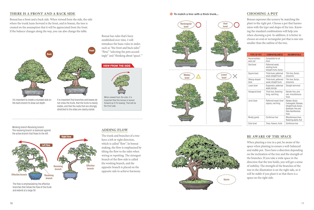 Bonsai master class