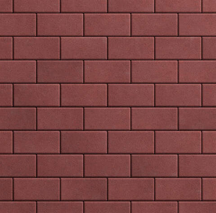 Тротуарная плитка ПРЯМОУГОЛЬНИК Б.2.П.6 200x100 мм Стандарт Красный