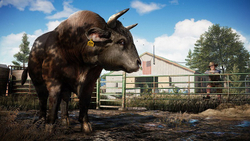 Far Cry 5 Gold Edition (для Xbox One/Series S/X, полностью на русском языке) [Цифровой код доступа]