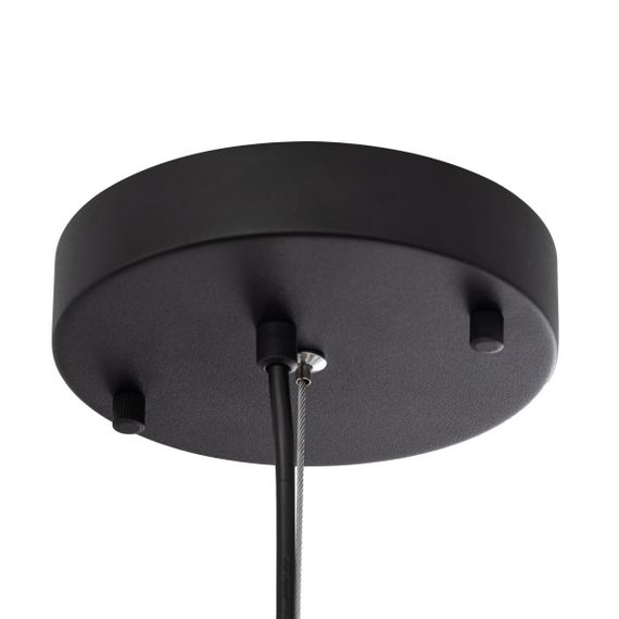 Подвесной светодиодный светильник Citilux Floom CL736251