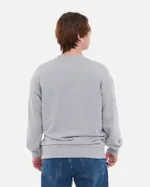 Купить Толстовка Anteater Crewneck BigText серая Толстовка Anteater Crewneck BigText серая