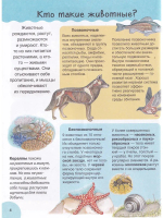 Животные. Детская иллюстрированная энциклопедия