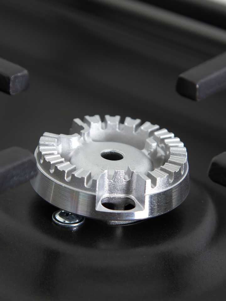 Газовая плита Hansa FCGA52109