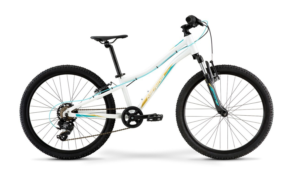 Подростковый велосипед Merida Matts J.24 Eco (2021)