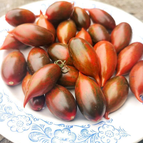 Помидоры Тигровая Зебра - Tiger zebra Tomato