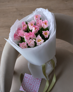 Моно из 15 пионовидных тюльпанов Краун ов Династи