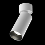 Накладной светильник Maytoni Artisan C082CL-01-GU10-W