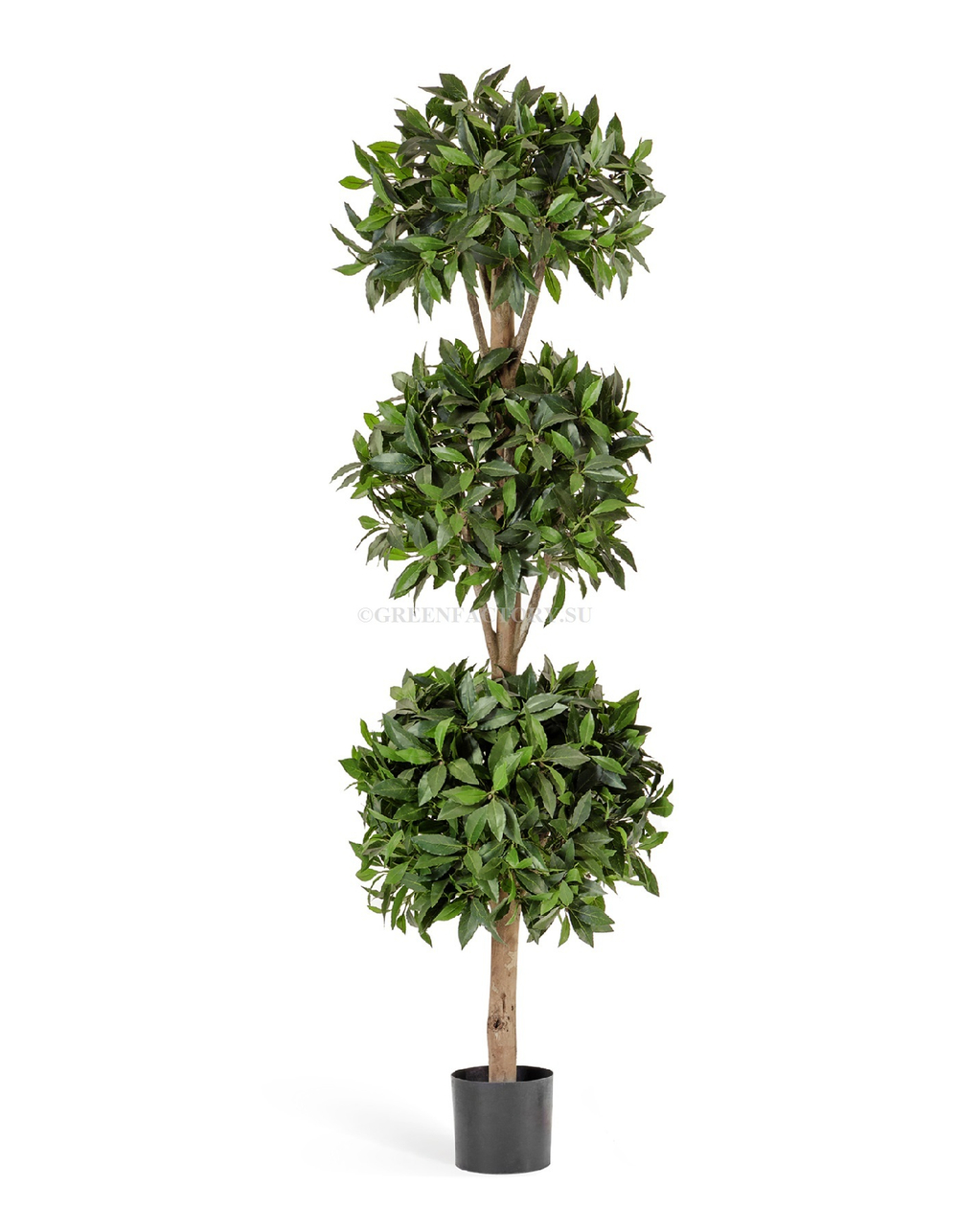 Лавр шар тройной 180 см