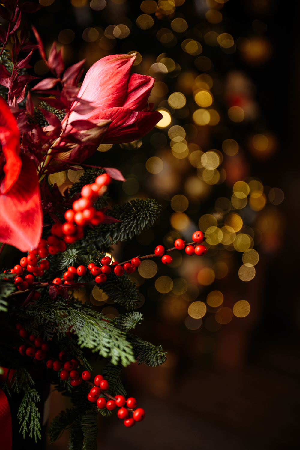 Букет Рождественская звезда