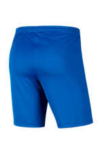 Шорты Nike Dry Park III