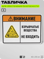 Табличка для обеспечения безопасности "Внимание взрывчатые вещества не входить", для производства, предприятия, организаций, 40х30 см, Silver Plane x Айдентика Технолоджи