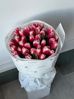 Букет из 35-ти красно-белых тюльпанов