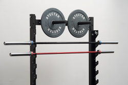 Стеллаж для хранения грифов и дисков 1100-1950