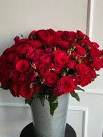 Пионовидная кустовая роза в красном оттенке