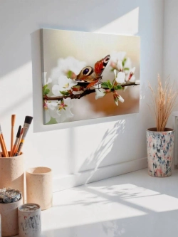 Картина на стену 40 X 50 Бабочка