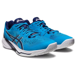 Кроссовки Asics Sky Elite FF 2, 1051A064-403