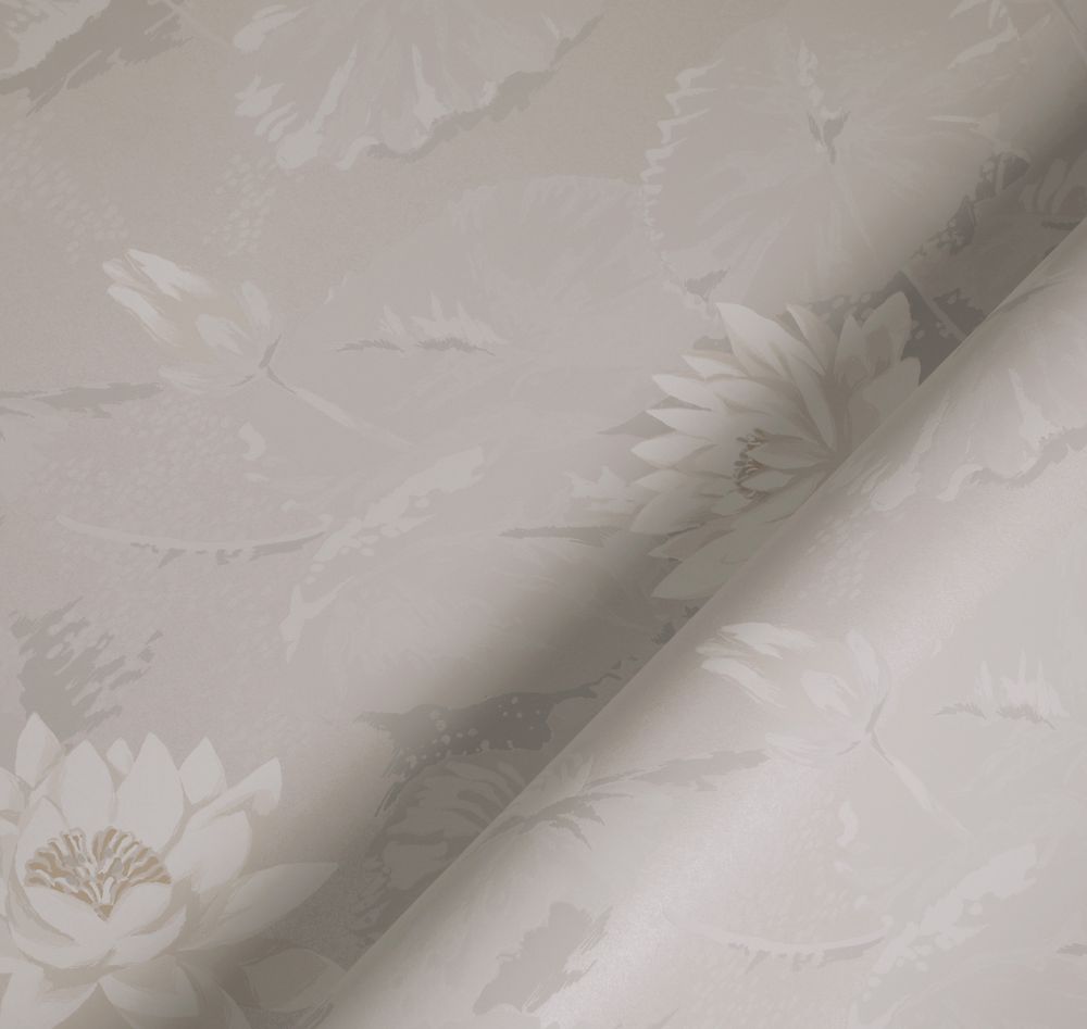 Шервуд Нимфея Альба