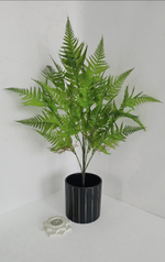 Куст папоротника / Арт 5014