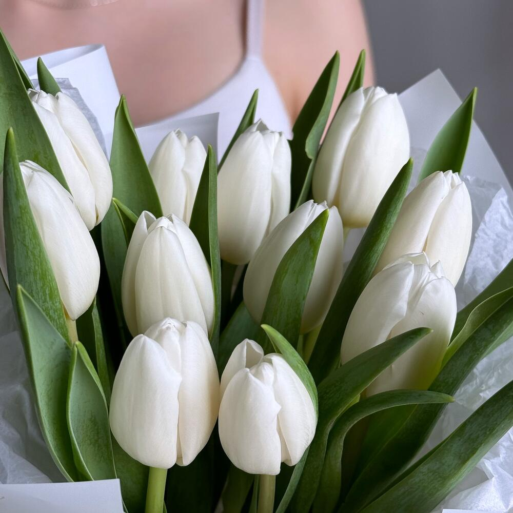 Букет из 11 белых тюльпанов