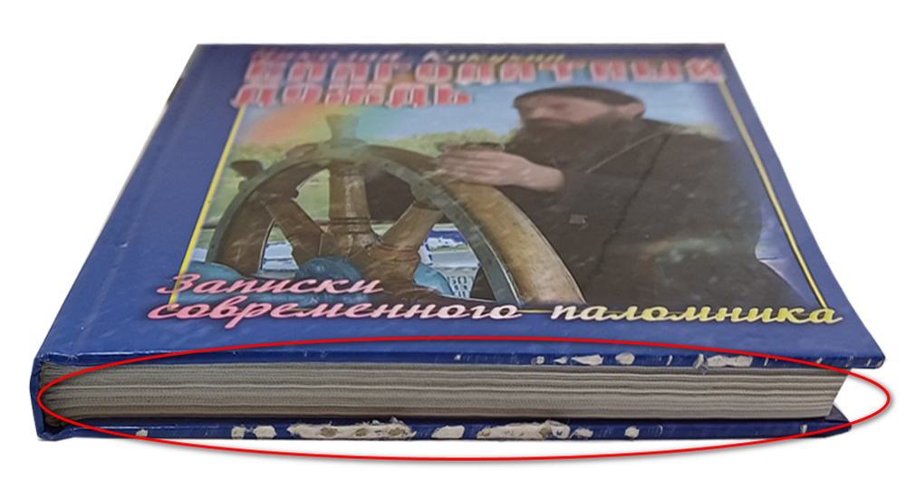 Благодатный дождь. Записки современного паломника. Николай Кокухин_УЦЕНКА