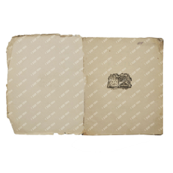 [Прижизненное издание] Гумилёв Н. Костёр : стихи, 1922.