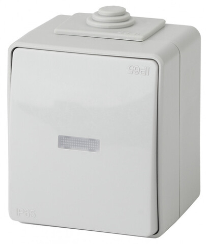 Выключатель 1-клавишный с подсветкой IP65, 10АХ-250В, серый Эксперт ЭРА