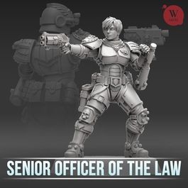 Миниатюра Senior Officer of the Law