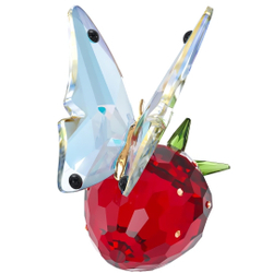 IDYLLIA:BUTTERFLY AND STRAWBERRY