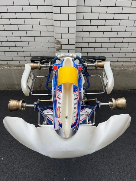 Как не купить картохлам - советы по выбору б/у гоночного карта