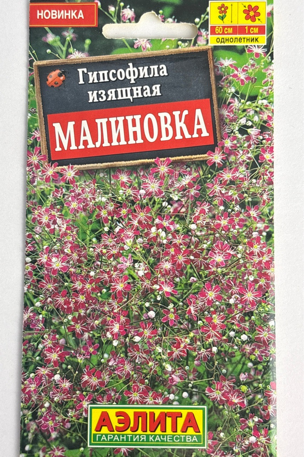 Гипсофила изящная Малиновка СМЦ-964