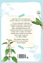 Растения вокруг нас