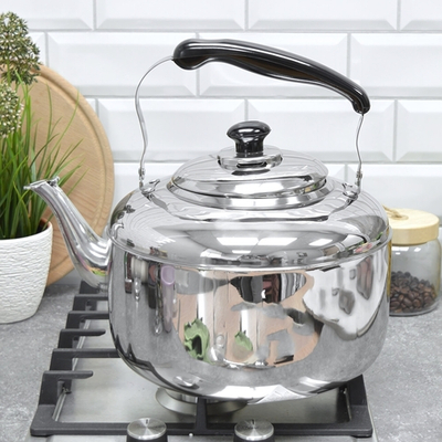 Чайник 7л нерж без свистка RGS-KD5291/7