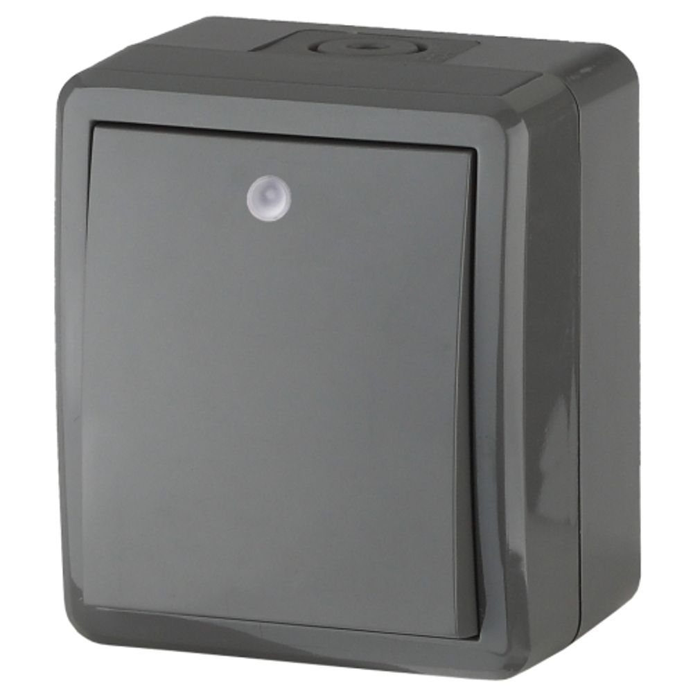 Выключатель ЭРА Эксперт 11-1402-03 с подсветкой IP54 10АХ-250В ОУ серый