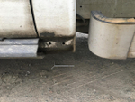 Ford TRANSIT Микроавтобус 350L (Промтоварный, Дизельный, 2,2 л, 155 л.с.)