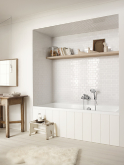 Ручной душ 100 3jet 28548000 Raindance Classic