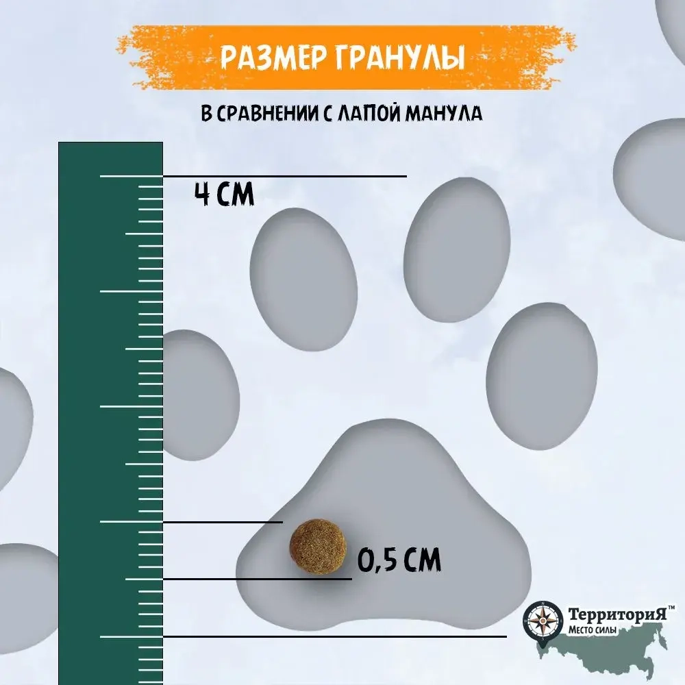 Территория сухой корм для котят Кавказ Индейка с брусникой, 350 г