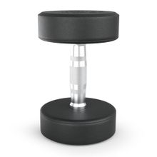 Гантель UNIX Fit PRO круглая обрезиненная 12,5 кг, 2 шт.