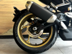 Triumph Trident 800, 2026
