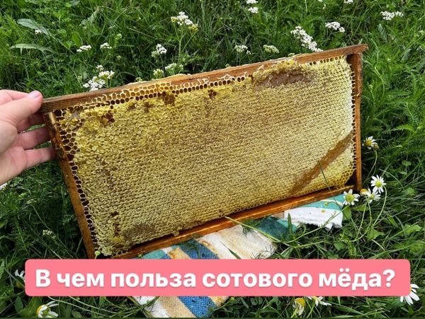 В ЧЕМ ПОЛЬЗА СОТОВОГО МЁДА?