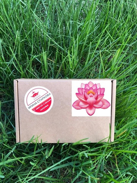 Бокс "Женский комфорт"